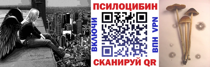 KRAKEN маркетплейс  купить наркотики сайты  Невель  Галлюциногенные грибы MAGIC MUSHROOMS 