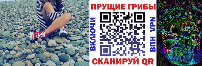 Псилоцибиновые грибы мицелий Невель